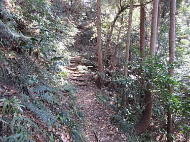 ひっそりの山道