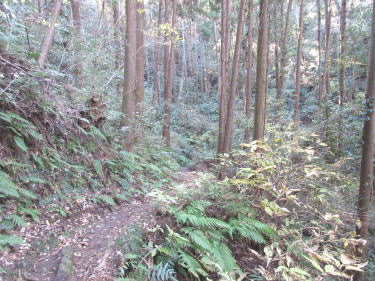 下りの山道