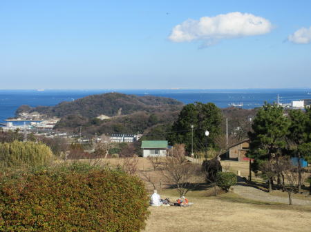 田浦梅の里