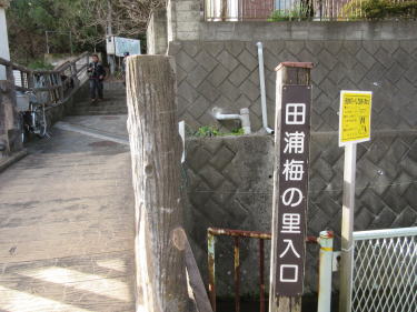 梅の里入口