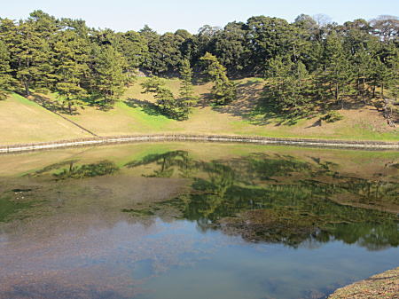 皇居の緑が水面に映って