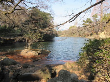 下の池