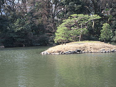 上の池の小島