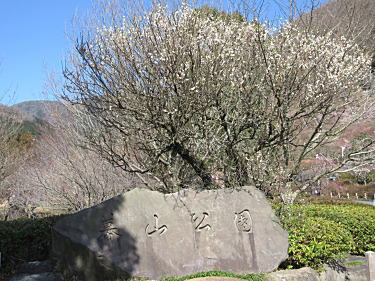 幕山公園碑