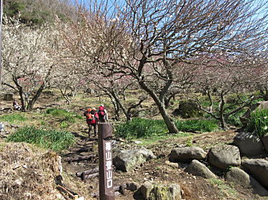 登山口