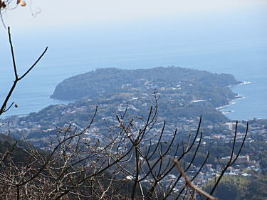 真鶴半島も見えます