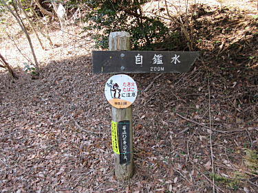 白銀林道を渡って自鑑水へ