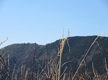 レーダーが二つと鉄塔