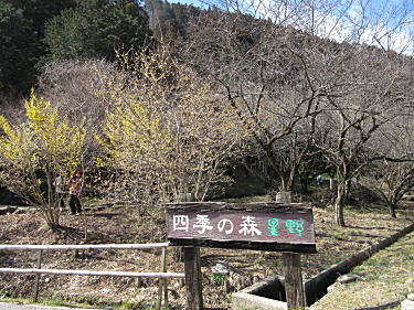 �l�G�̐X�@����