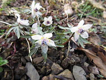 �ߕ����̃A�b�v2