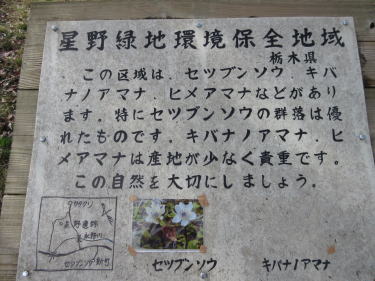 �ۑS�n�����