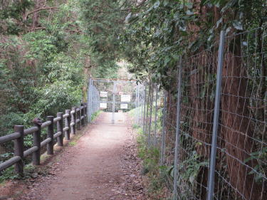 鹿除けの柵