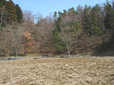 広場