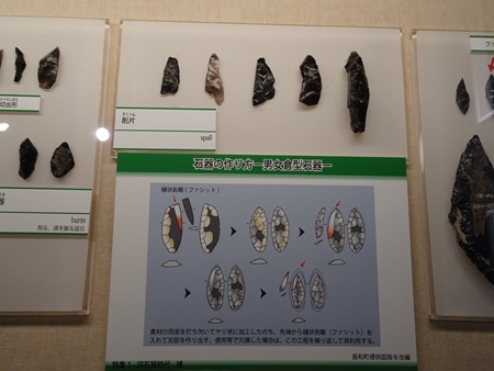 発掘された日本列島2020-Ⅱ 発掘された日本列島2020-Ⅱ